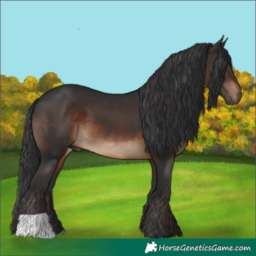 Horse Color:Brown 