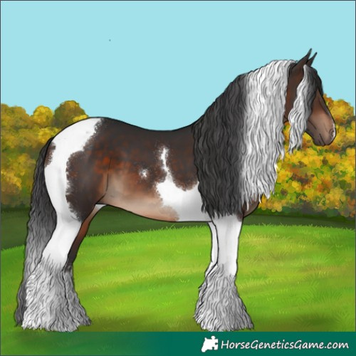 Horse Color:Brown Tobiano 