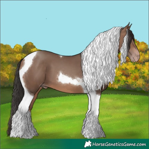 Horse Color:Sable Champagne Tobiano