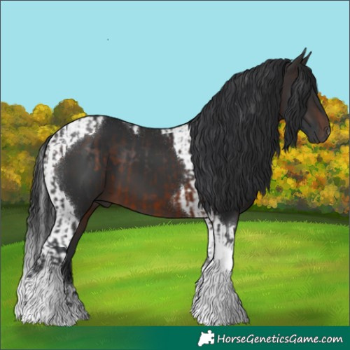 Horse Color:Brown Tobiano and Brown Tobiano