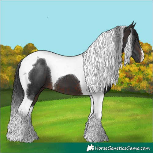 Horse Color:Brown Tobiano 