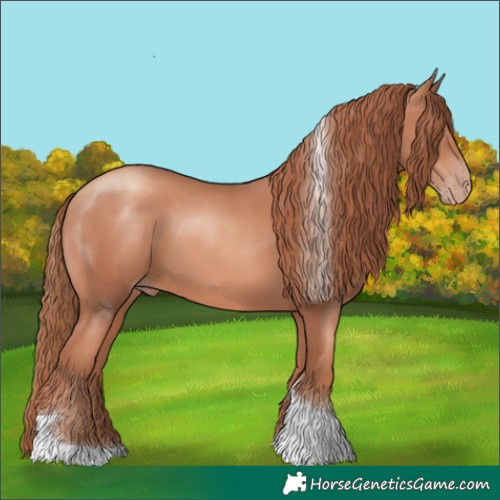 Horse Color:Gold Champagne Tobiano