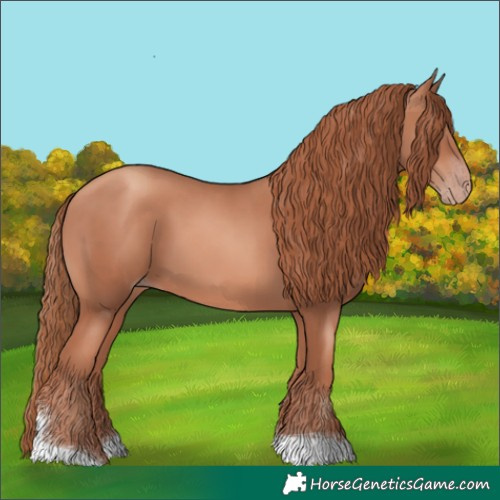 Horse Color:Gold Champagne Tobiano 