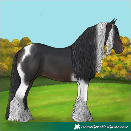 Horse Color:Brown Tobiano 