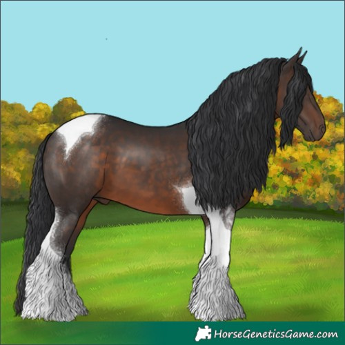 Horse Color:Brown Tobiano 