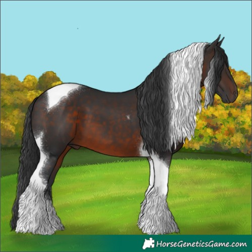 Horse Color:Brown Tobiano