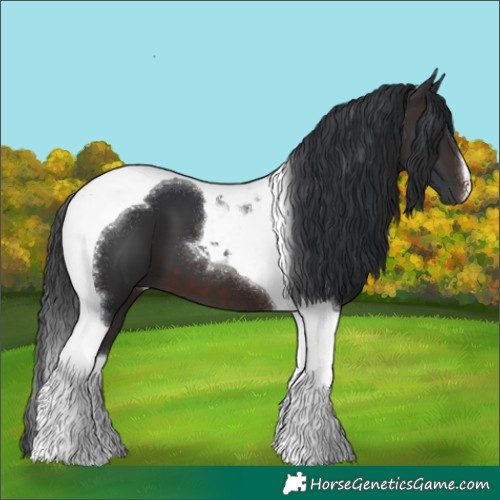 Horse Color:Brown Tobiano 