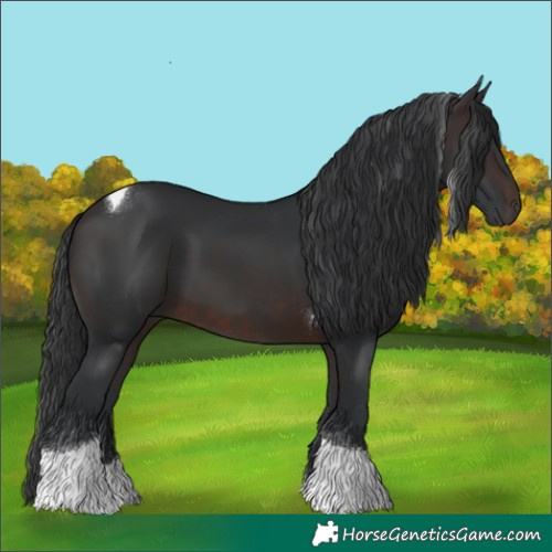 Horse Color:Brown Tobiano