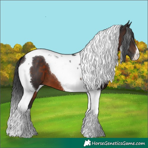 Horse Color:Brown Tobiano