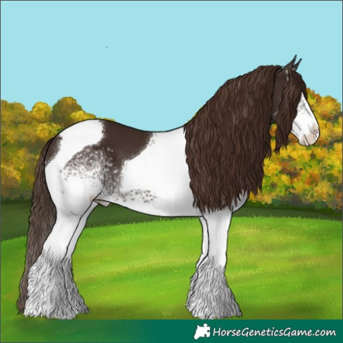 Horse Color:White Spotted Liver Chestnut Tobiano
