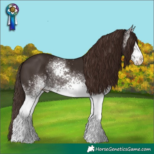 Horse Color:White Spotted Liver Chestnut Tobiano