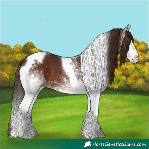 Horse Color:White Spotted Liver Chestnut Tobiano 