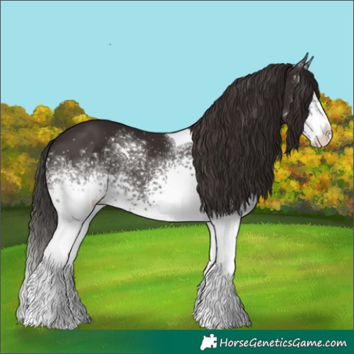 Horse Color:White Spotted Liver Chestnut Tobiano 