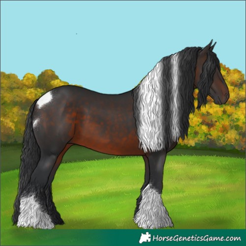 Horse Color:Brown Tobiano 