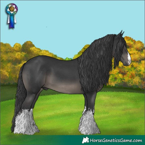 Horse Color:White Spotted Black
