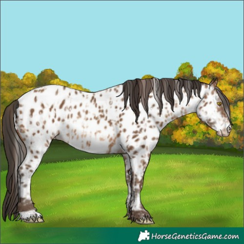 Horse Color:Amber Champagne Near Leopard and Gray Amber Champagne Near Leopard
