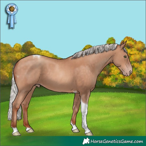 Horse Color:Silver Sable Champagne Tobiano