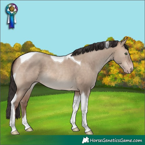 Horse Color:Sable Champagne Dun Tobiano