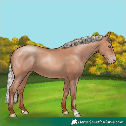 Horse Color:Silver Sable Champagne