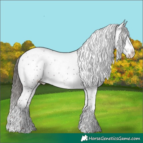 Horse Color:Liver Chestnut Sabino