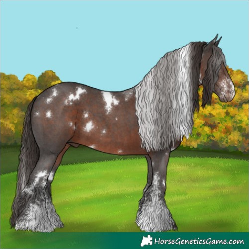 Horse Color:White Spotted Liver Chestnut Sabino
