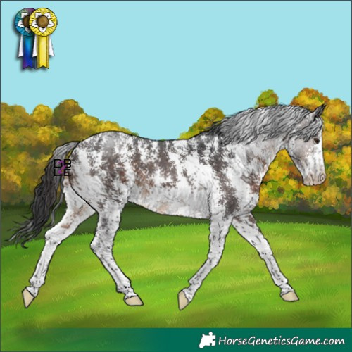Horse Color:Brown Mushroom Sabino
