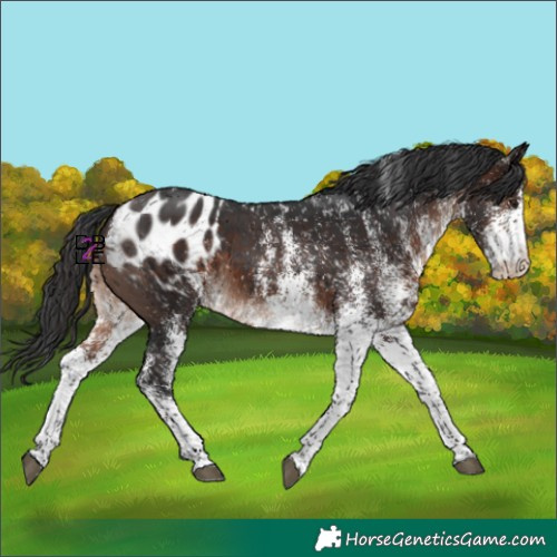 Horse Color:White Spotted Bay Mushroom Blanket