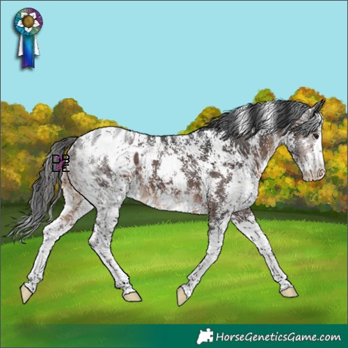 Horse Color:Brown Mushroom Sabino Blanket