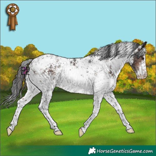 Horse Color:White Spotted Bay Mushroom