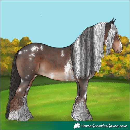 Horse Color:White Spotted Liver Chestnut Sabino