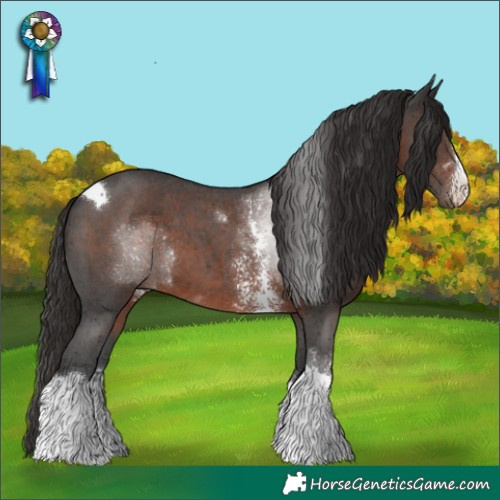 Horse Color:Liver Chestnut Sabino Tobiano