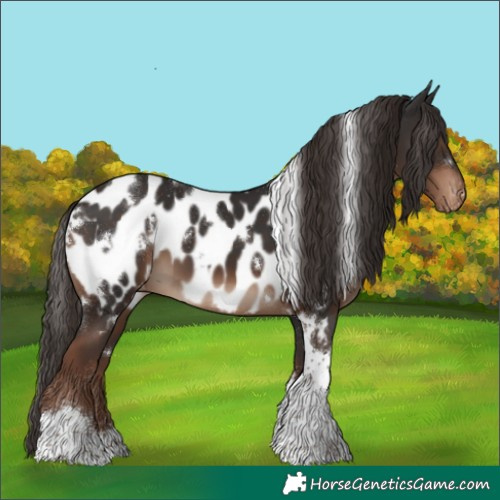 Horse Color:White Spotted Liver Chestnut Tobiano Near Leopard