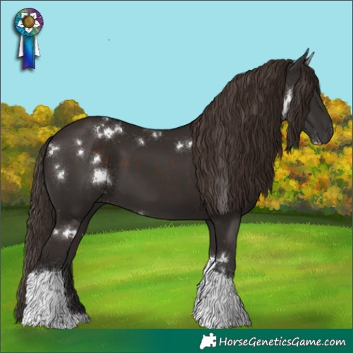 Horse Color:White Spotted Liver Chestnut Tobiano