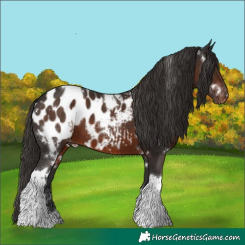 Horse Color:White Spotted Liver Chestnut Tobiano Blanket 