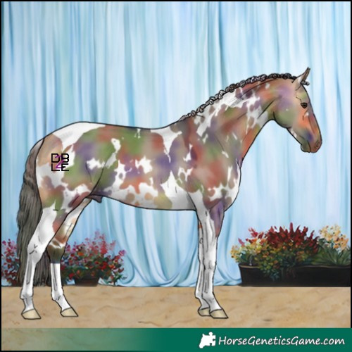 Horse Color:Nacre White Spotted Buckskin Dun Tobiano