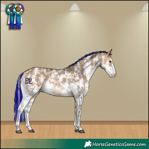 Horse Color:Painted Bay Dun Sabino