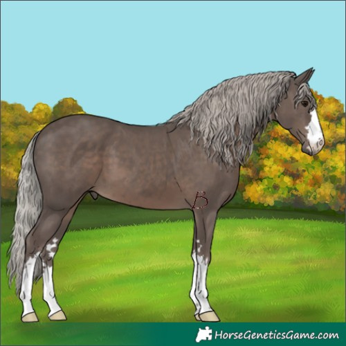 Horse Color:Silver Black