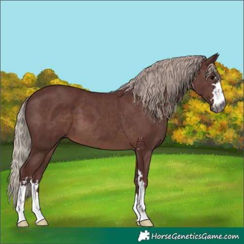 Horse Color:Gray Chocolate Silver Black 
