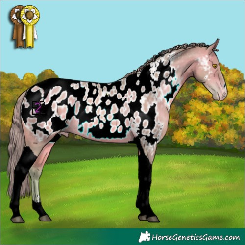 Horse Color:Watercolor Chocolate Brown Pearl Tobiano Near Leopard 
