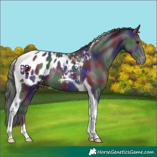 Horse Color:Nacre Smoky Black Tobiano Blanket