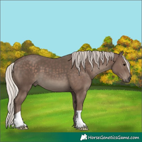 Horse Color:Silver Black 