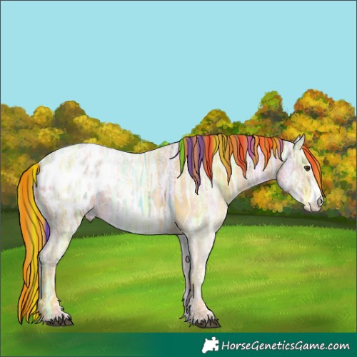 Horse Color:Painted Chestnut Ice Sabino Blanket 