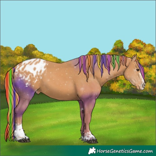 Horse Color:Painted Chestnut Sabino Blanket