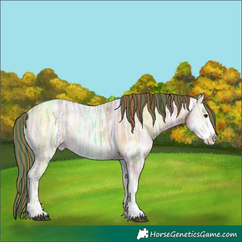 Horse Color:Painted Red Onyx Ice Sabino Varnish 
