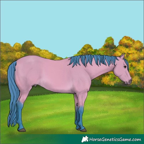 Horse Color:Unknown 