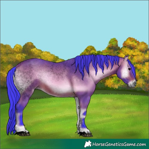 Horse Color:Unknown 