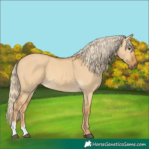 Horse Color:Palomino Dun 