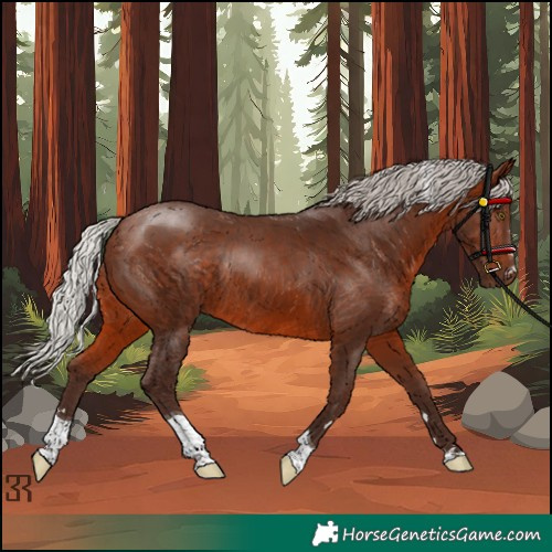 Horse Color:Silver Bay Tobiano Rabicano