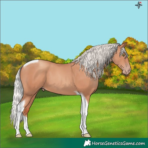 Horse Color:Silver Classic Champagne Tobiano