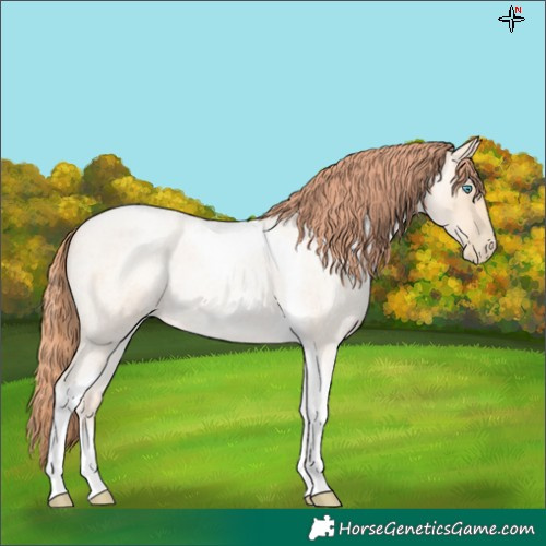 Horse Color:Sable Cream Champagne Roan Pearl Tobiano